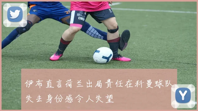 伊布直言荷兰出局责任在科曼球队失去身份感令人失望