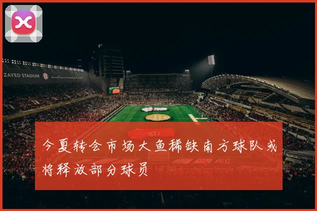 今夏转会市场大鱼稀缺南方球队或将释放部分球员